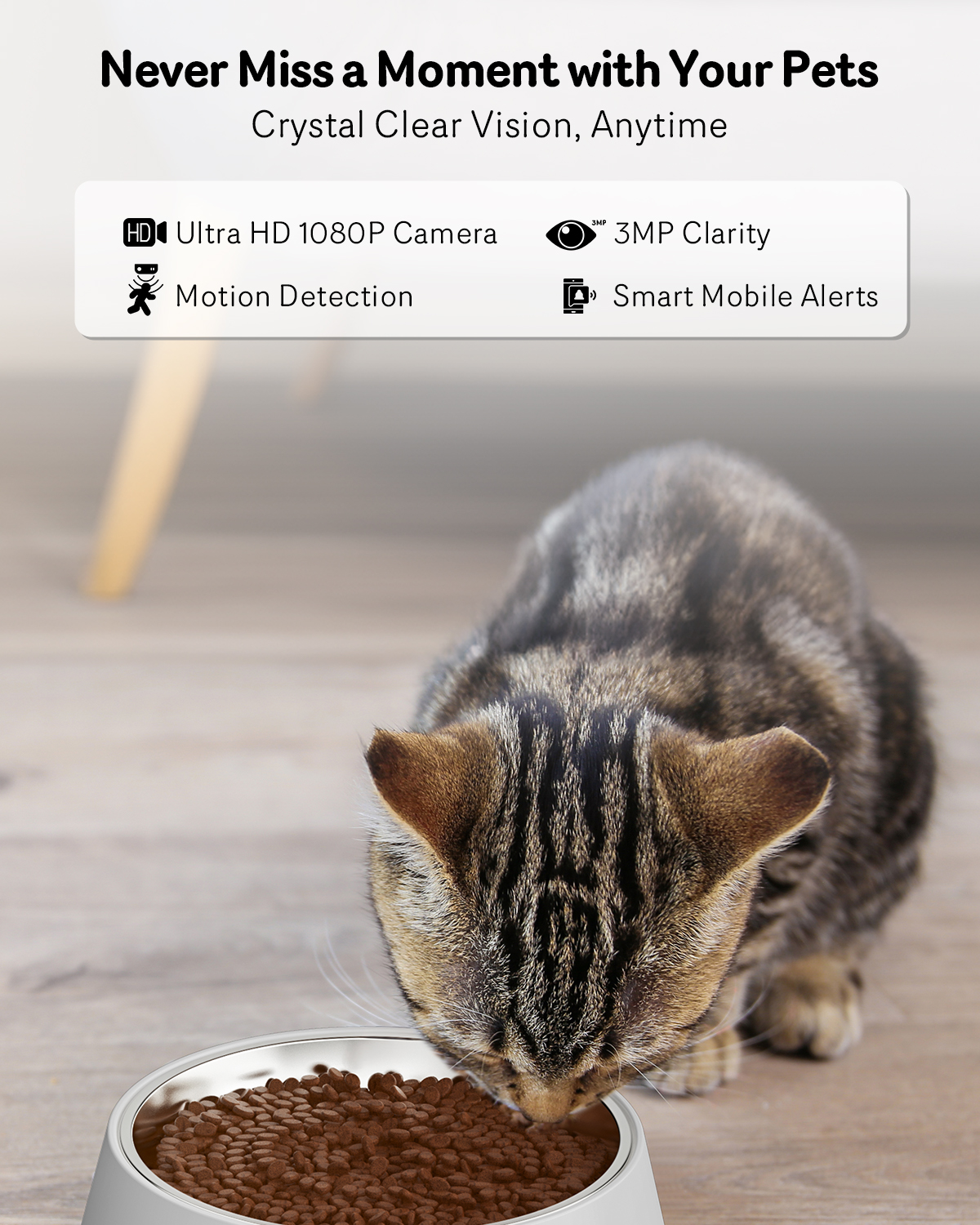 Automatic Feeder With Camera