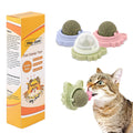 3pcs Catnip Toy Balls