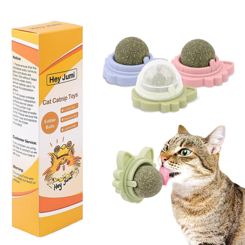 3pcs Catnip Toy Balls