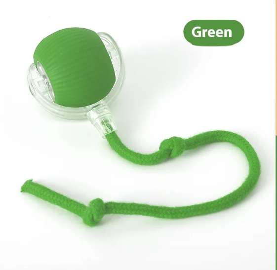 Interactive Cat Toy