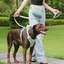 No-Pull Dog Harness Vest with Leash Set