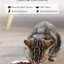 Automatic Feeder With Camera