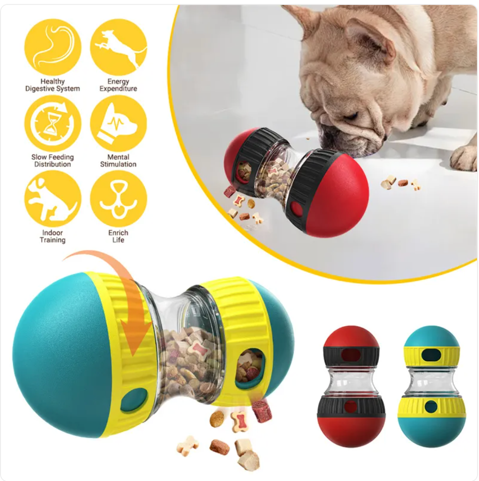 Interactive Food Dispensing For Dog