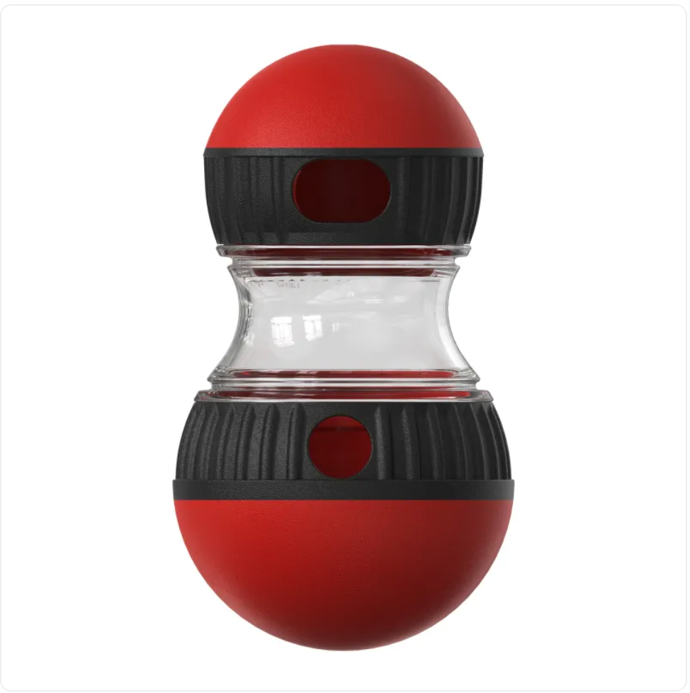 Interactive Food Dispensing For Dog