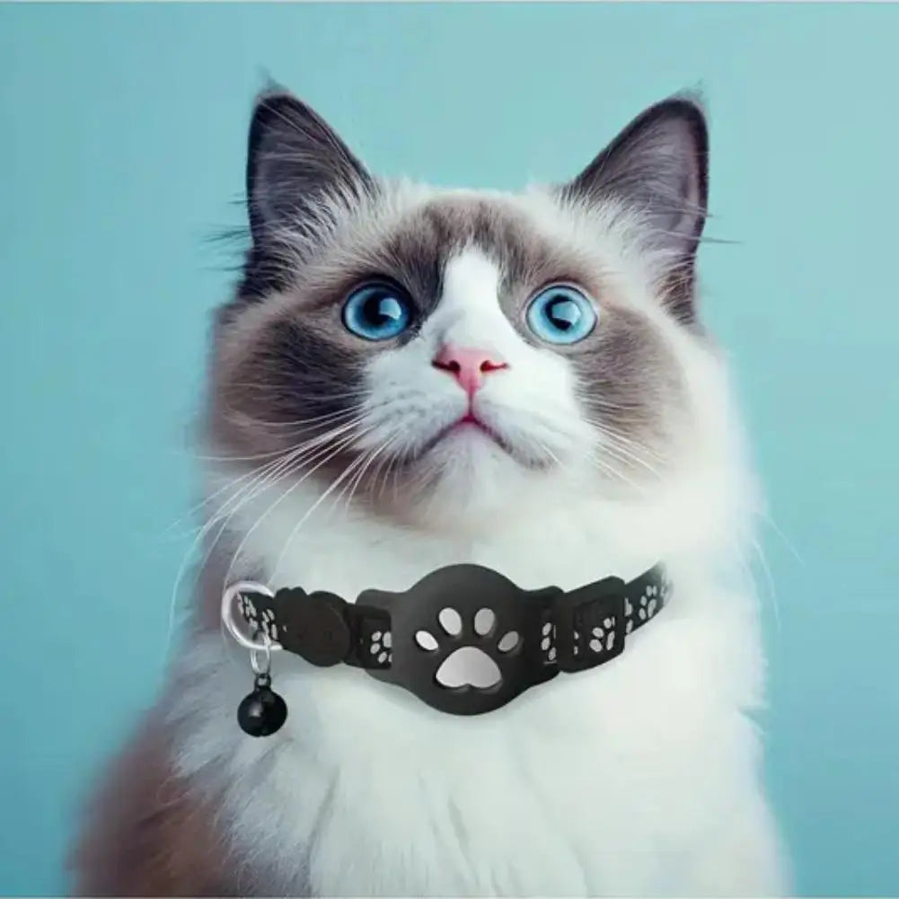 Collier GPS intelligent — Localisation en temps réel pour chat & chien