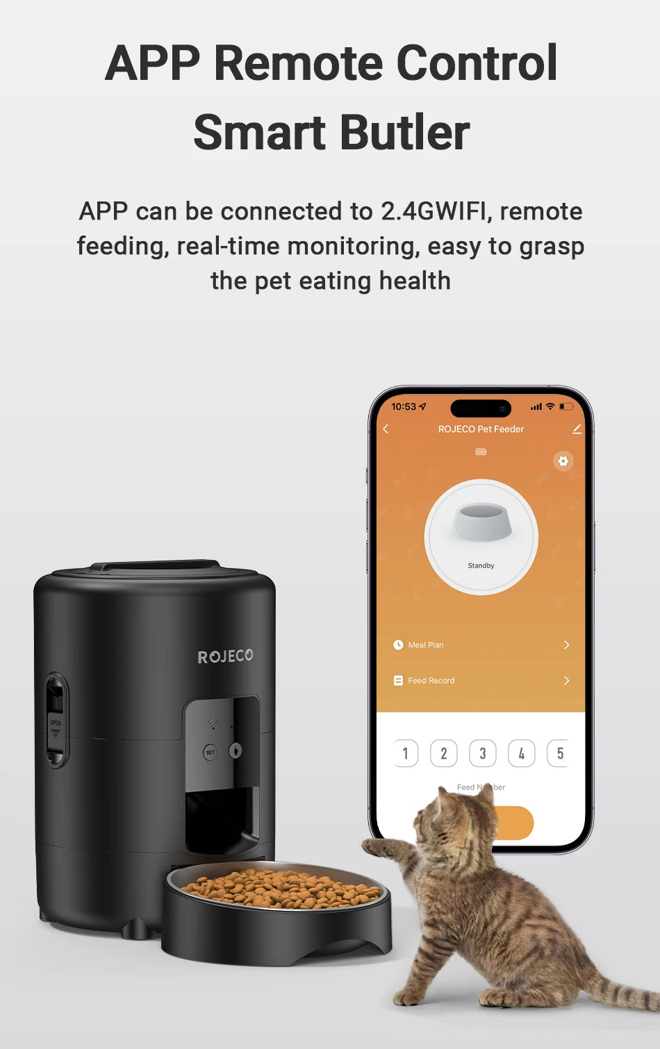 Distributeur automatique de croquettes 2L — Programmable Wi-Fi