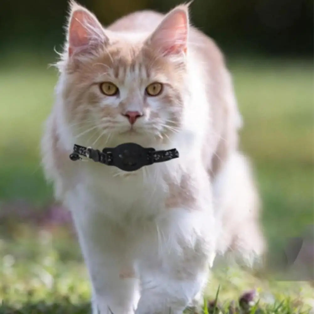 Collier GPS intelligent — Localisation en temps réel pour chat & chien