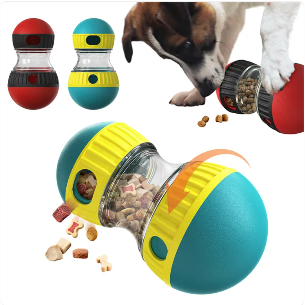 Interactive Food Dispensing For Dog