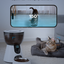 Automatic Feeder With Camera
