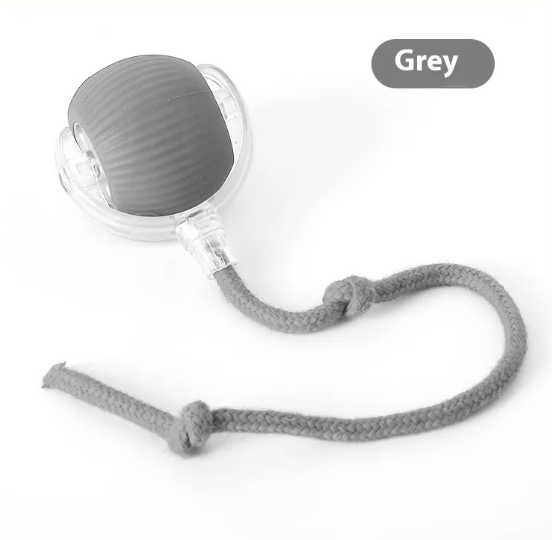 Interactive Cat Toy