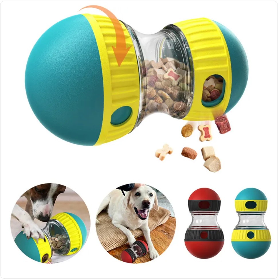 Interactive Food Dispensing For Dog