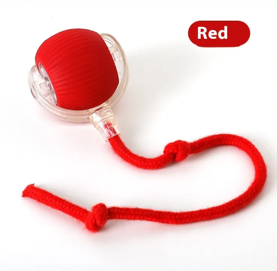 Interactive Cat Toy