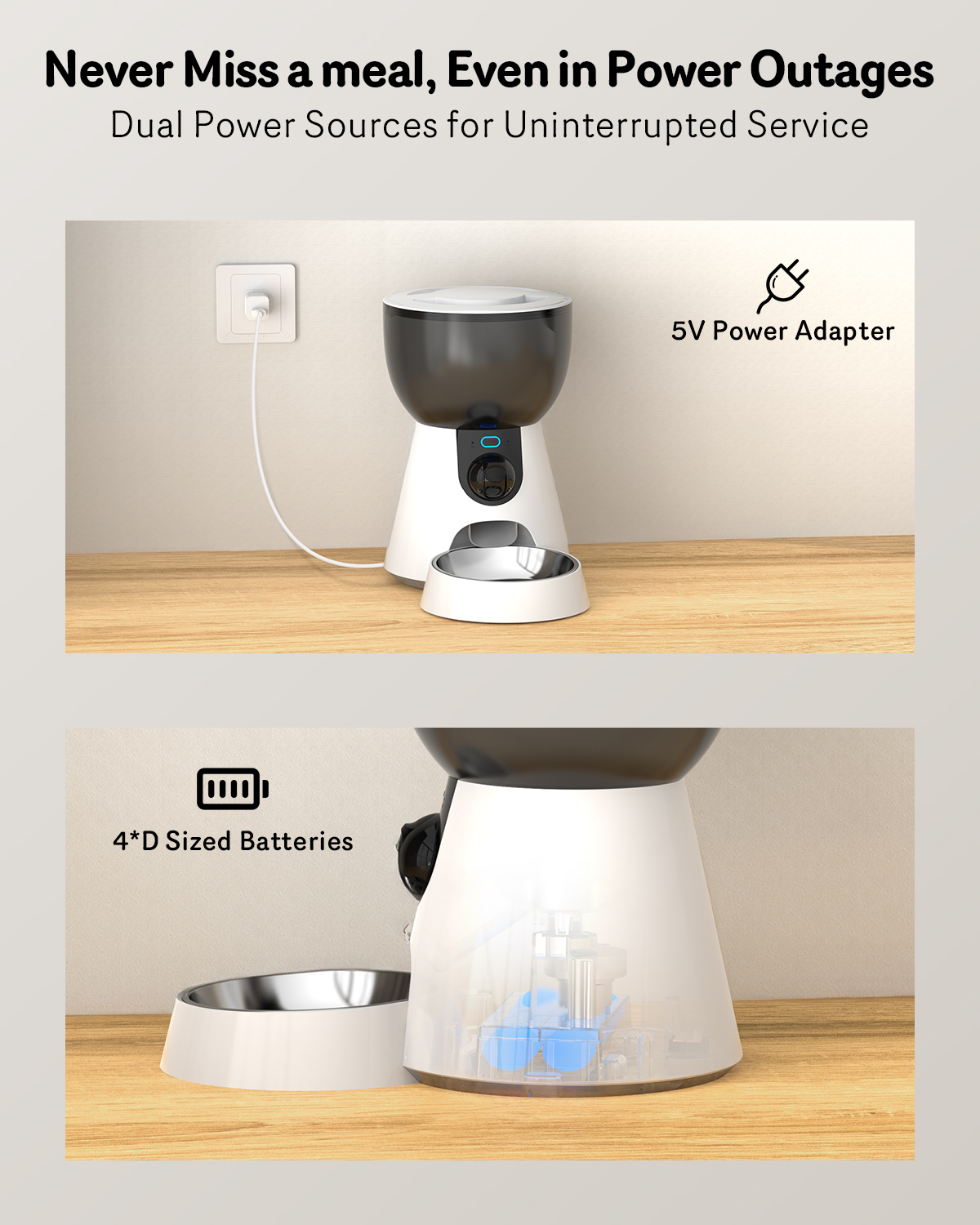 Automatic Feeder With Camera