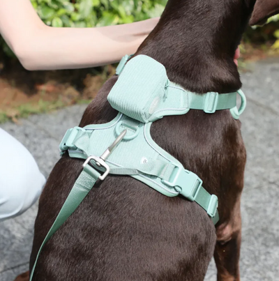 No-Pull Dog Harness Vest with Leash Set